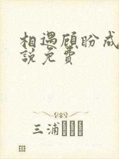 相遇顾盼成欢小说免费