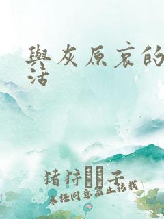 与灰原哀的h生活