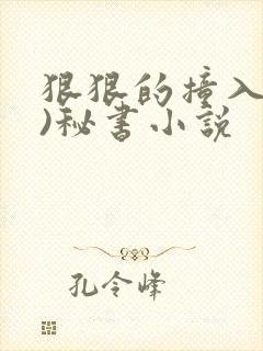 狠狠的撞入(h)秘书小说