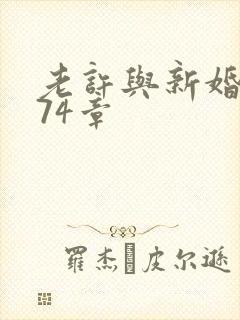 老许与新婚小倩74章