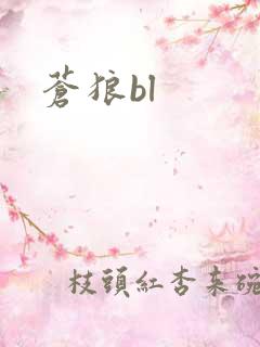 苍狼bl