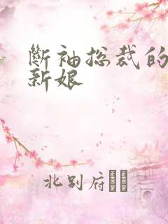 断袖总裁的落跑新娘