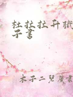 杜拉拉升职记电子书