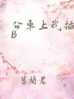 公车上我插上骚B