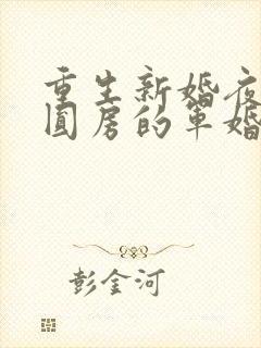 重生新婚夜正在圆房的军婚小说