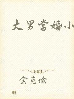大男当婚小说