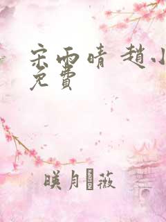 宋雨晴 赵小刚免费