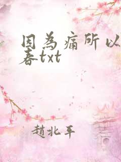 因为痛所以叫青春txt