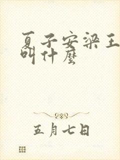 夏子安梁王书名叫什么