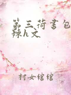 第三荷书包网高辣h文