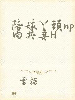 陪嫁丫头np全肉共妻H