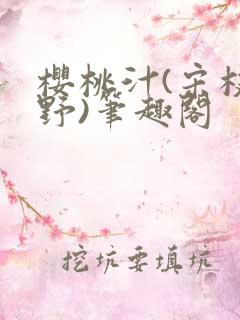 樱桃汁(宋枝江野)笔趣阁