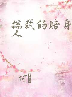 总裁的赔身小情人