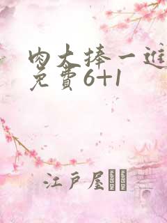 肉大捧一进一出免费6+1