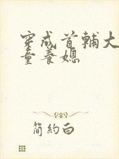 穿成首辅大人的童养媳