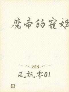 魔帝的宠姬