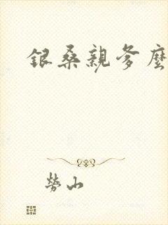 银桑亲爹么么哒