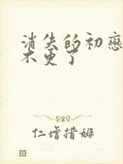 消失的初恋为啥不更了