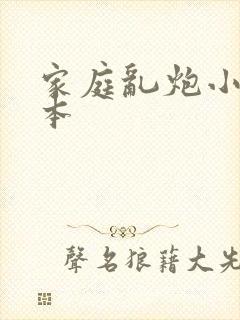 家庭乱炮小说全本