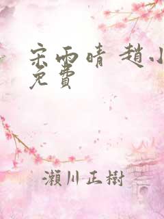 宋雨晴 赵小刚免费