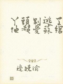 丫头别逃了教授他超爱苏绾谢宴宁