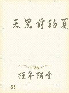 天黑前的夏天