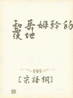 和岳姆干的翻天覆地