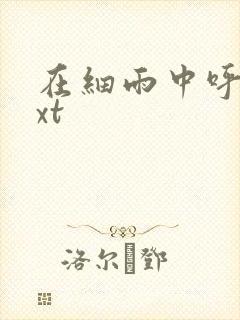 在细雨中呼喊txt