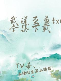 武道至尊txt全集下载