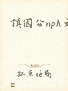 镇国公nph文