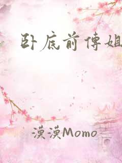 卧底前传姐妹篇