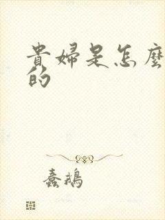 贵妇是怎么炼成的