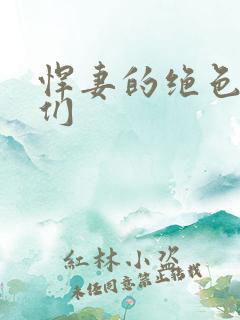 悍妻的绝色夫君们