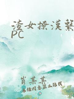 渣女撩汉系统NPC