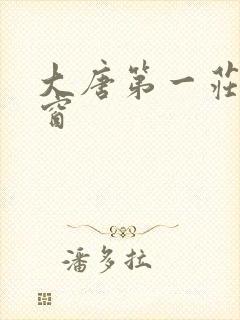 大唐第一庄无弹窗