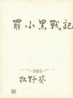 罗小黑战记小说