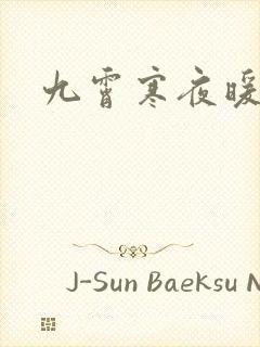 九霄寒夜暖小说