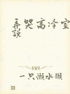 弄哭高冷室友小说
