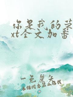 你是我的荣耀txt全文加番外