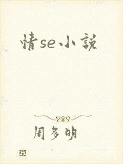 情se小说