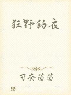 狂野的夜