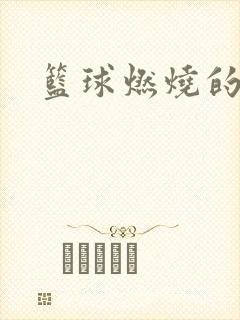 篮球燃烧的岁月