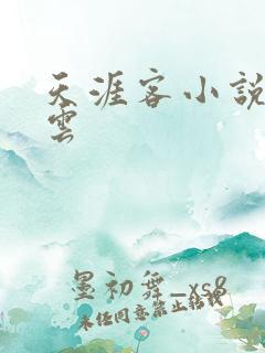 天涯客小说百度云