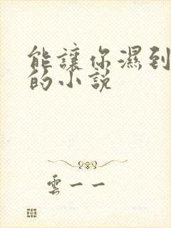 能让你湿到不行的小说