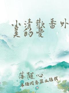 小清欢番外篇完美的爱
