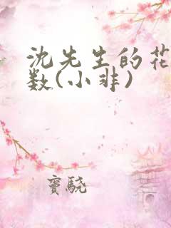 沈先生的花式调数(小非)