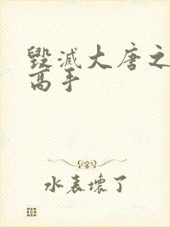 毁灭大唐之异能高手