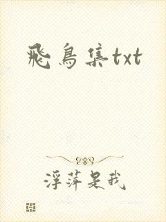飞鸟集txt