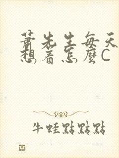 萧先生每天都在想着怎么C