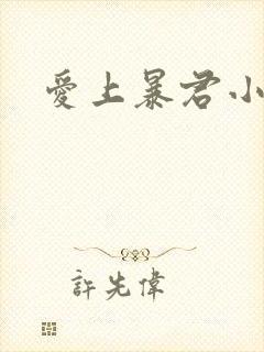 爱上暴君小甜心